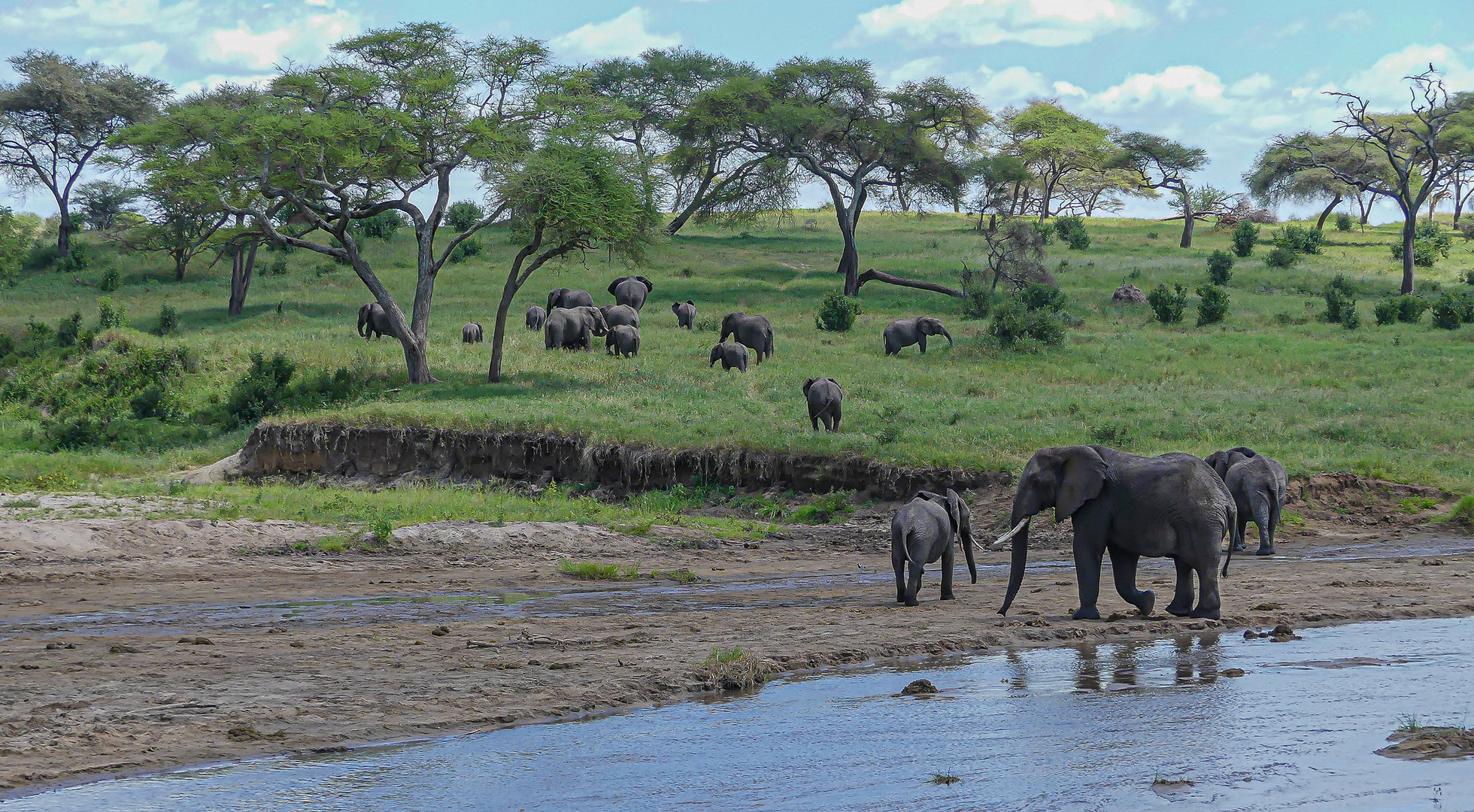2-Day Tarangire & Ngorongoro Safari from Zanzibar