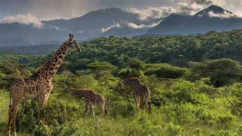 1 Day Hiking and Walking in Mt. Longonot Safari