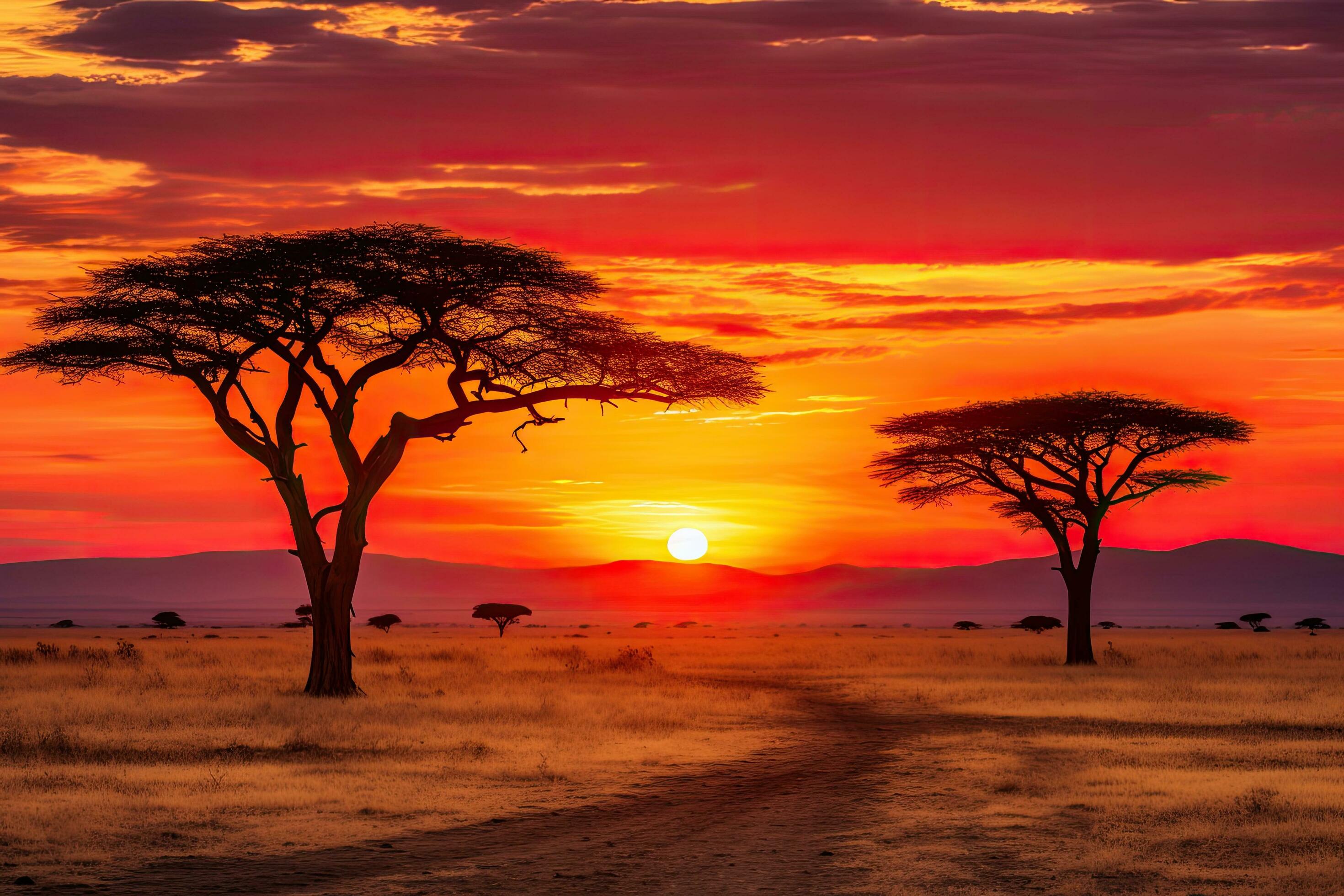 Marangu Kilimanjaro Trek & Camping Safari — 15 Days