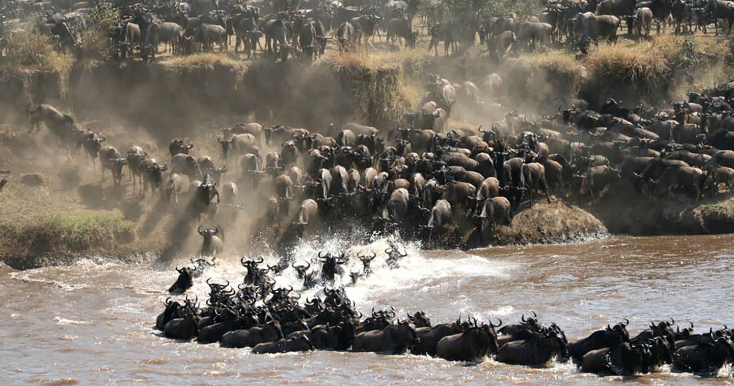 9 Days / 8 Nights Tanzania Unlimited Safari Adventure