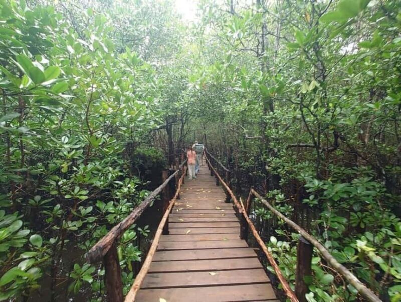 Jozani Forest & Spice Plantation Tour