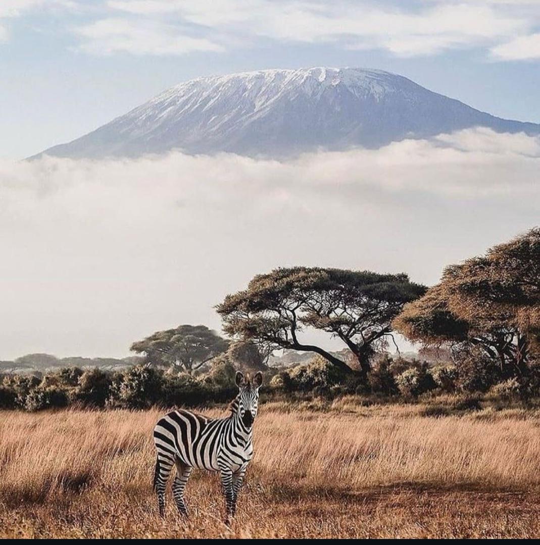7 Days 6 Nights Nairobi | Amboseli | Masai Mara Big Five Safari
